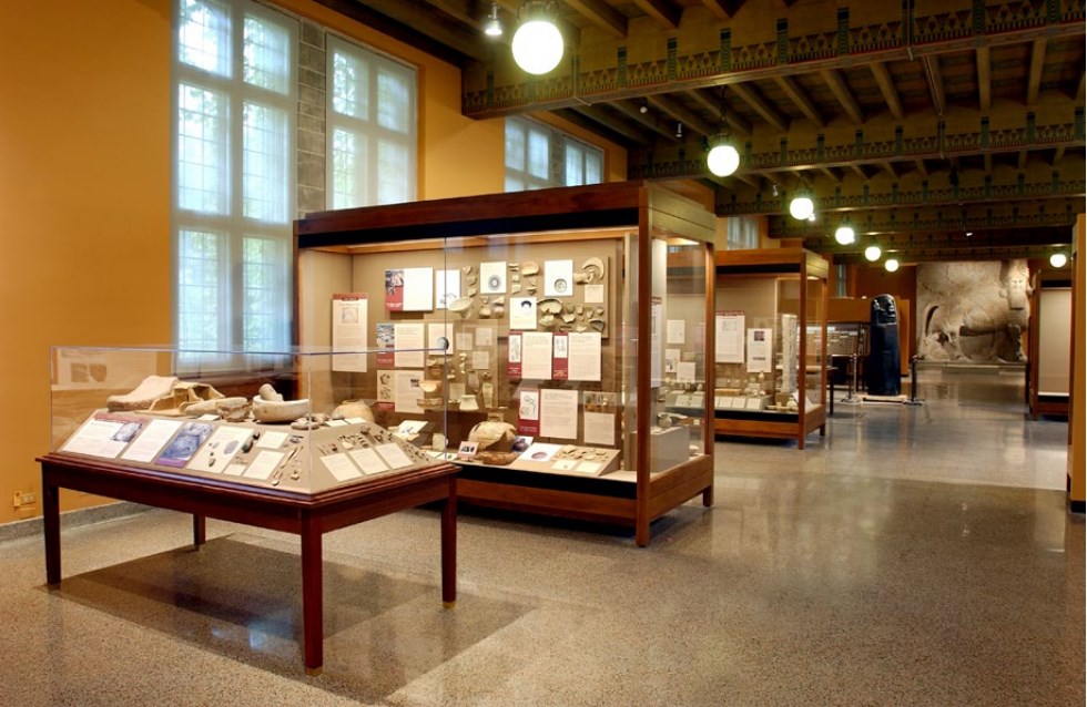 GA黄金甲·(中国区)官方网站